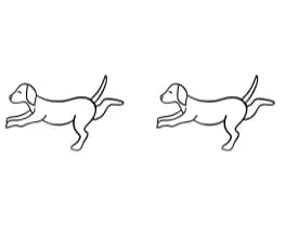 Yoga Dog Poses by Heartcraft Atelier — Dingbats Font — thumbnail 8