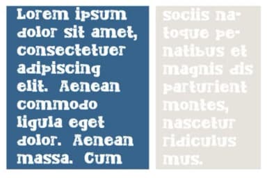 Zp Director Fn by Illustration Ink — Slab Serif Font — thumbnail 4