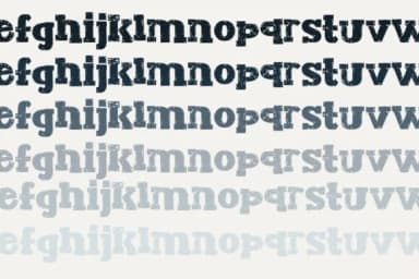 Zp Director Fn by Illustration Ink — Slab Serif Font — thumbnail 5