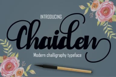 Chaiden Font by Microcreative — Script Handwritten Font — thumbnail 1