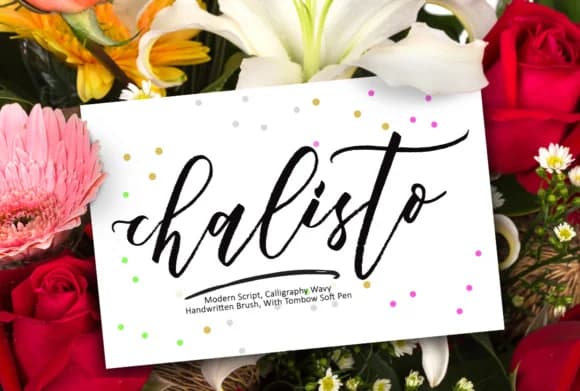 Chalisto Font by joelmaker — Script Handwritten Font