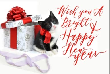 Chalisto Font by joelmaker — Script Handwritten Font — thumbnail 7