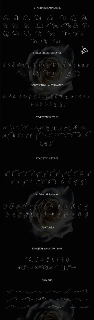 Chalky Voyage Font by Ajir — Script Handwritten Font — thumbnail 7