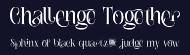 Challenge Together by 177Studio — Serif Font — thumbnail 2