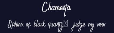 Chameeta by Edric Studio — Script Handwritten Font — thumbnail 2