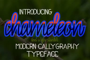 Chameleon Font by maydhen studio — Script Handwritten Font — thumbnail 1