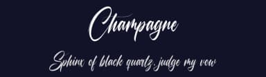 Champagne by Octotype  | Thomas Boucherie — Script Handwritten Font — thumbnail 2