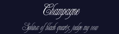 Champagne — Script Handwritten Font — thumbnail 2