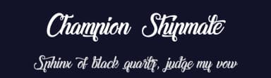 Champion Shipmate by Cat.B — Script Handwritten Font — thumbnail 2