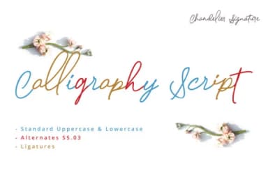 Chandelier Font by PointLab — Script Handwritten Font — thumbnail 6