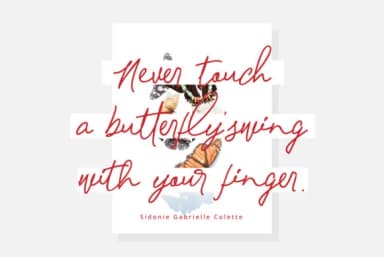 Chandelier Font by PointLab — Script Handwritten Font — thumbnail 8