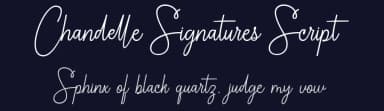 Chandelle Signatures Script by Cooldesignlab — Script Handwritten Font — thumbnail 2