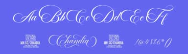 Chandia by Måns Grebäck — Script Handwritten Font — thumbnail 3