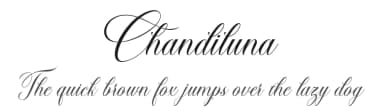 Chandiluna by Canoute Creative — Script Handwritten Font — thumbnail 1