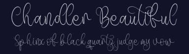 Chandler Beautiful by Integritype Studio — Script Handwritten Font — thumbnail 2