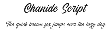 Chanide Script by Letterhend Studio — Script Handwritten Font — thumbnail 1