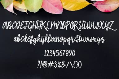 Chantik Sekaly Font by LebahStudio — Script Handwritten Font — thumbnail 2