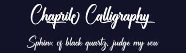 Chaprile Calligraphy by Ditoollis Project — Script Handwritten Font — thumbnail 2