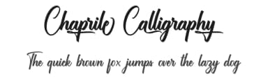 Chaprile Calligraphy by Ditoollis Project — Script Handwritten Font — thumbnail 1