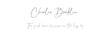 Charlie Brocklin by Almarkhatype — Script Handwritten Font — thumbnail 1