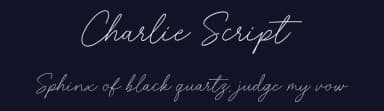 Charlie Script by Typebae Foundry — Script Handwritten Font — thumbnail 2