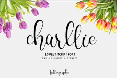 Charllie Script Font by Fallengraphic — Script Handwritten Font — thumbnail 1