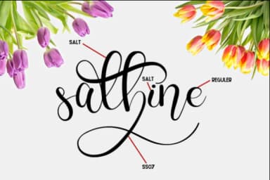 Charllie Script Font by Fallengraphic — Script Handwritten Font — thumbnail 2