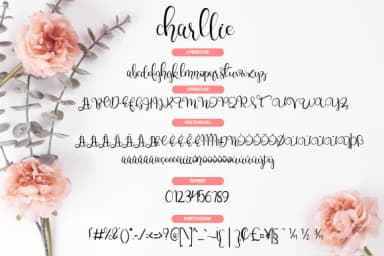 Charllie Script Font by Fallengraphic — Script Handwritten Font — thumbnail 3