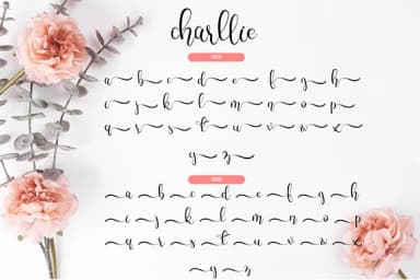 Charllie Script Font by Fallengraphic — Script Handwritten Font — thumbnail 4