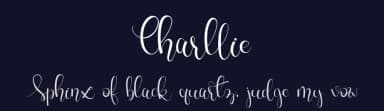 Charllie by FallenGraphic Studio — Script Handwritten Font — thumbnail 2