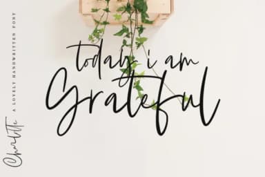 Charlotte Font by Geranium.co — Script Handwritten Font — thumbnail 2