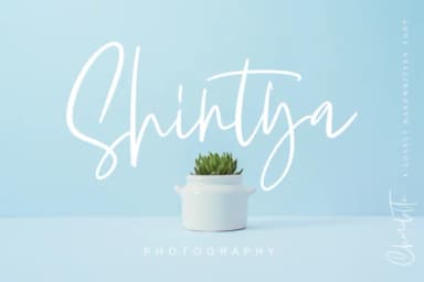 Charlotte Font by Geranium.co — Script Handwritten Font — thumbnail 6
