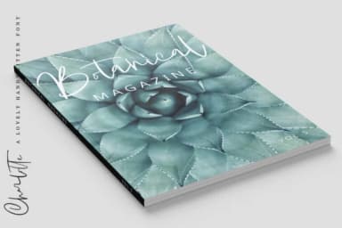 Charlotte Font by Geranium.co — Script Handwritten Font — thumbnail 7