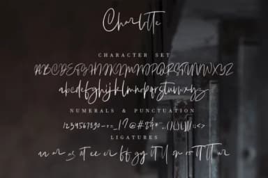 Charlotte Font by Geranium.co — Script Handwritten Font — thumbnail 9