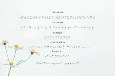 Charlotte Font by StringLabs by StringLabs — Script Handwritten Font — thumbnail 7