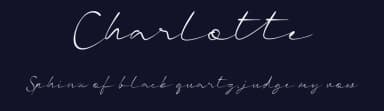 Charlotte by StringLabs Creative Studio — Script Handwritten Font — thumbnail 2