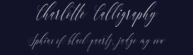 Charlotte Calligraphy by aldedesign — Script Handwritten Font — thumbnail 2