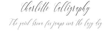 Charlotte Calligraphy by aldedesign — Script Handwritten Font — thumbnail 1