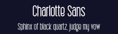 Charlotte Sans by Type and Company — Sans Serif Font — thumbnail 2