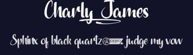 Charly James by NihStudio — Script Handwritten Font — thumbnail 2