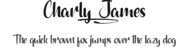 Charly James by NihStudio — Script Handwritten Font — thumbnail 1