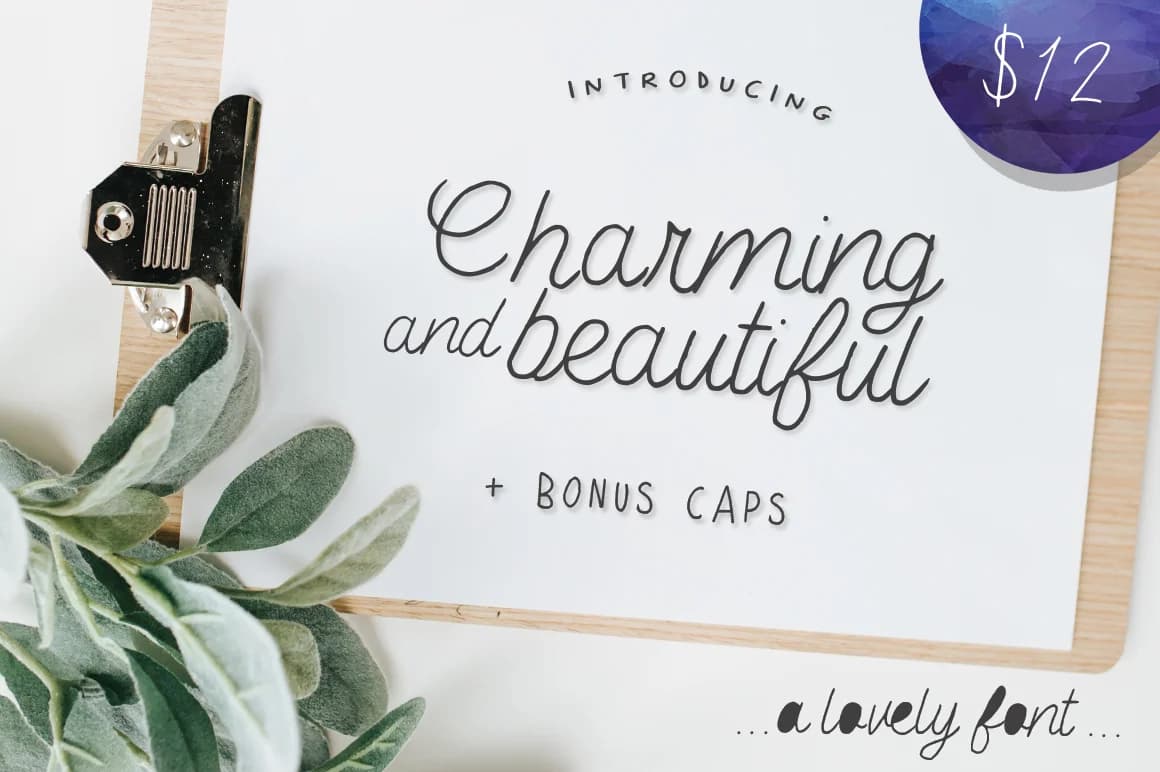 Charming & Beautiful Font by Salt and Pepper Fonts — Script Handwritten Font