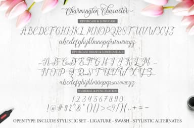 Charmington Font by Cooldesignlab — Script Handwritten Font — thumbnail 5