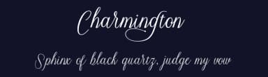 Charmington by Cooldesignlab — Script Handwritten Font — thumbnail 2