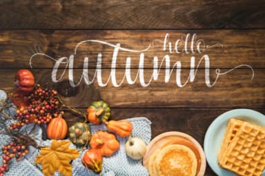 Chashina Font by Kelik — Script Handwritten Font — thumbnail 4