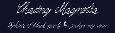 Chasing Magnolia by JSH creates — Script Handwritten Font — thumbnail 2