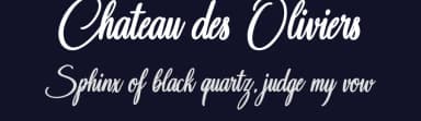 Chateau des Oliviers by Octotype  | Thomas Boucherie — Script Handwritten Font — thumbnail 2