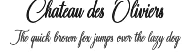Chateau des Oliviers by Octotype  | Thomas Boucherie — Script Handwritten Font — thumbnail 1