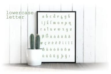 Chattelyne Font by ZetDesign — Script Handwritten Font — thumbnail 3