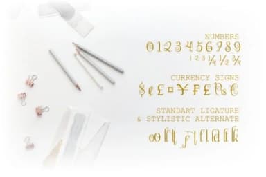 Chattelyne Font by ZetDesign — Script Handwritten Font — thumbnail 4